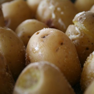 Biztonságos keményítők