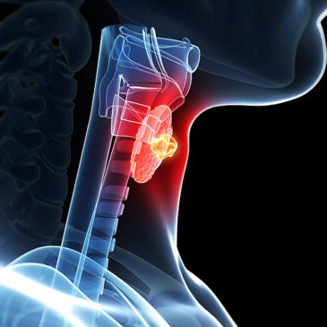 hormon=kulcs; receptor=zár… kulcs a zárba