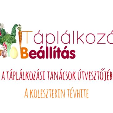 A koleszterin tévhite
