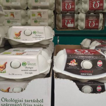 Ki, melyiket és miért választaná?