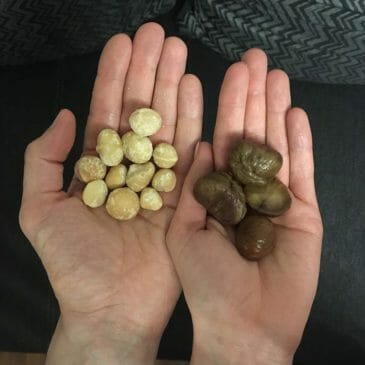 Nassolás markáns anyagcsere módra: makadámdió