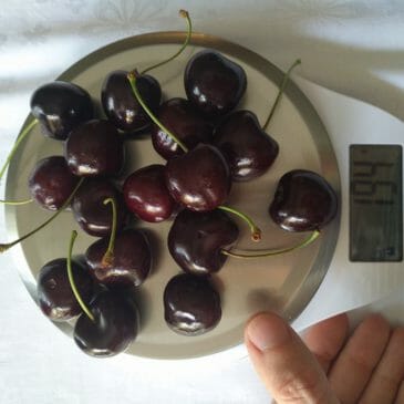 Gyümölcsök fogyasztása az egészség miatt