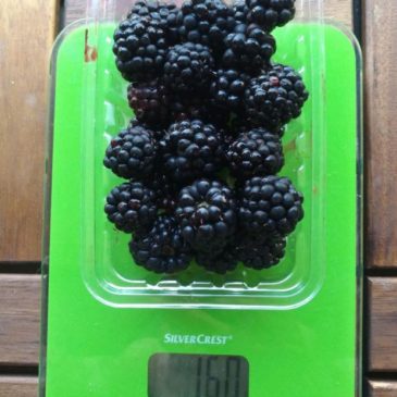 Mennyi az össz szénhidrát- és ezen belül fruktóztartalma 100 gramm szedernek?