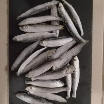 A legjobb alternatív kalciumforrások