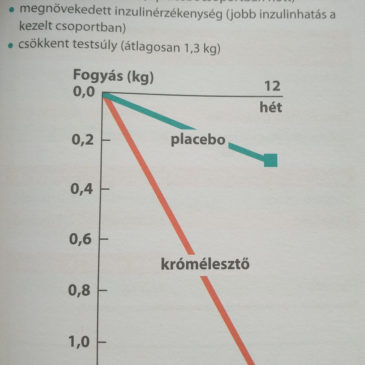 A jó minőségű étrend-kiegészítő szerepe a metabolikus szindróma esetében