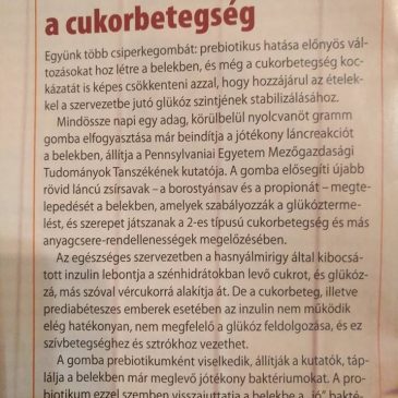 A vízben oldódó (prebiotikus) rostok fontossága