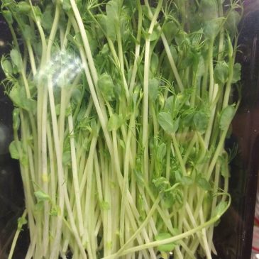 Megelőzési célú magnéziumpótlás