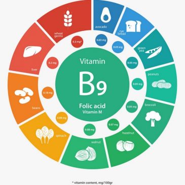A B9-vitamin, más néven folát