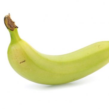 A vastagbélben fermentálódó rezisztens keményítők