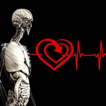 “Integratív orvoslás a XXI. század kihívása a medicinában” szakmai továbbképzés, remek előadásokkal