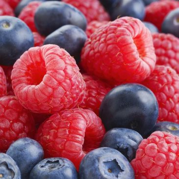 Az étrendi polifenolok (színanyagok) mint antioxidánsok és rákellenes szerek