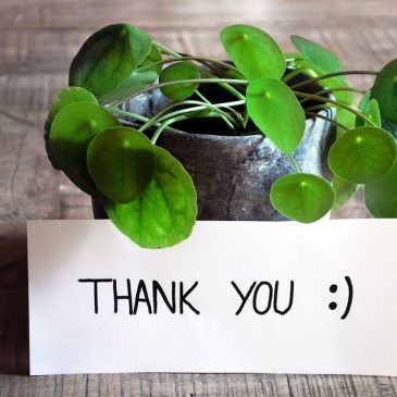 Újabb visszajelzést kaptunk :)