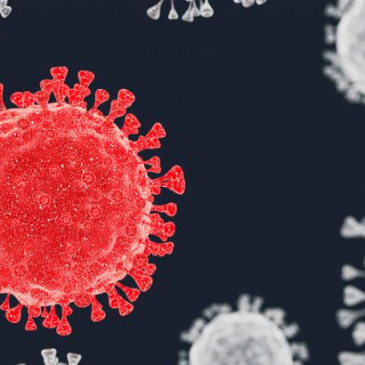 “Ez a fajta pánikhangulat, ami a vírust kísérte nem kedvez a racionális védekezésnek.” – idézet a cikkből!