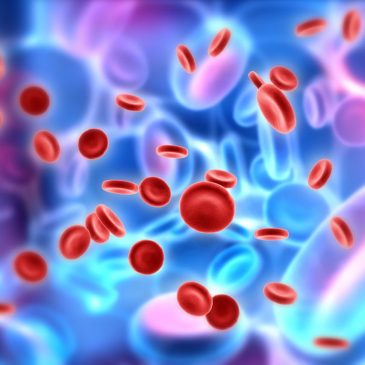 Hormonális egyensúlytalanságokról táplálkozástudományi megközelítésben