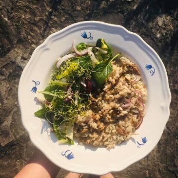 Egy tápláló menüt készítettem:)