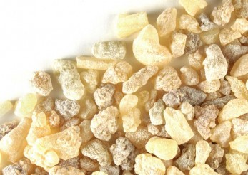 Colitis ulcerosa és bizonyos gyógynövények