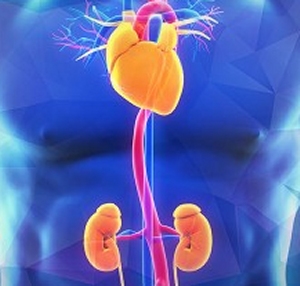 Öt ok, amiért soha ne szedjünk protonpumpa gátlókat